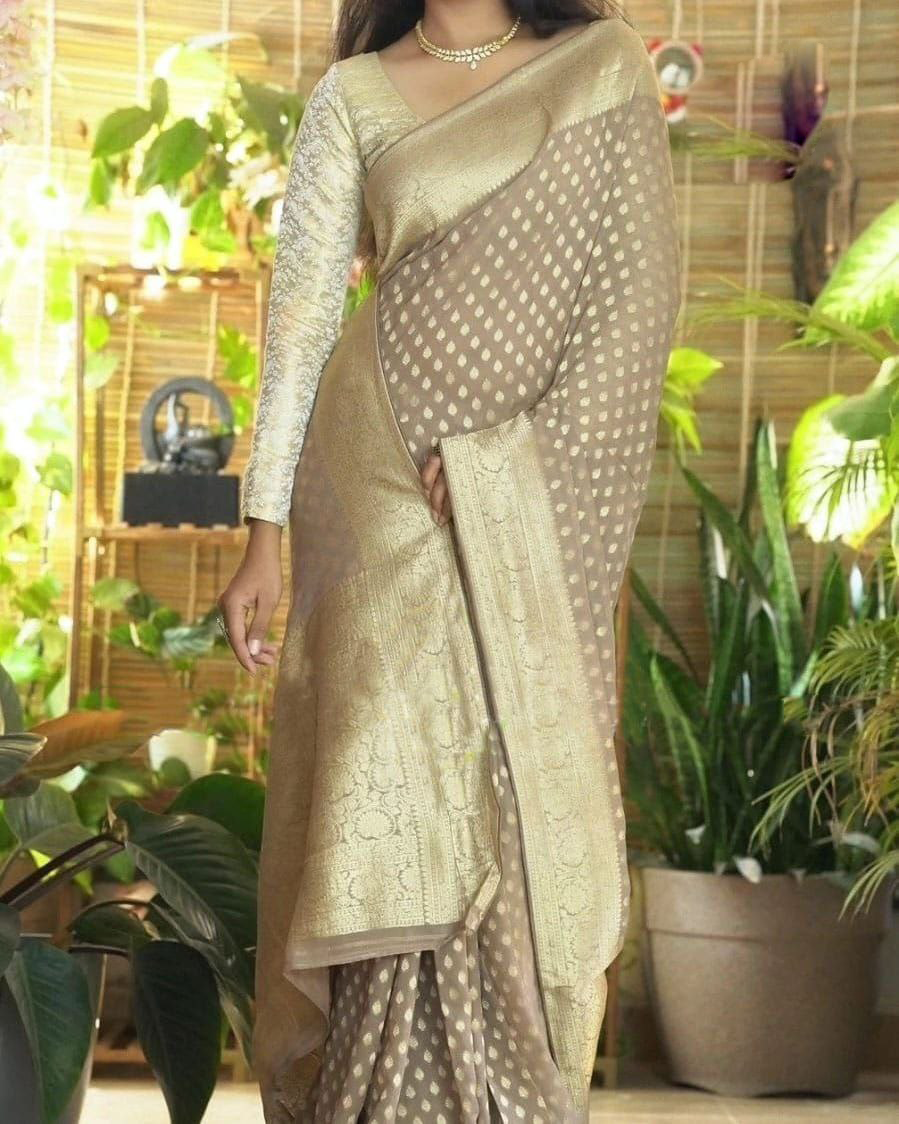 Soft Silk Saree With Detailed Rich Pallu And Embroidered Blouse